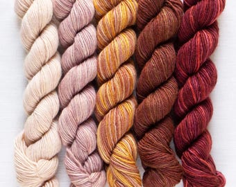 Fino mini skein kit, Eleanor, merino and silk