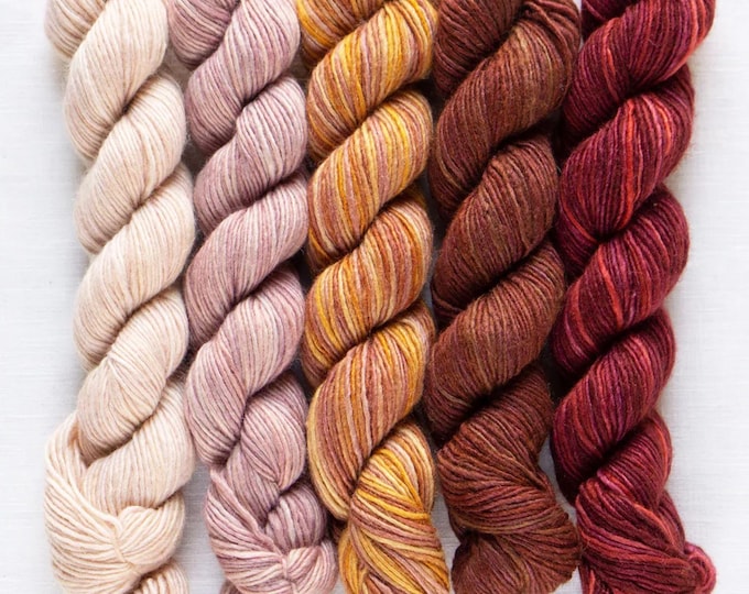 Fino mini skein kit, Eleanor, merino and silk