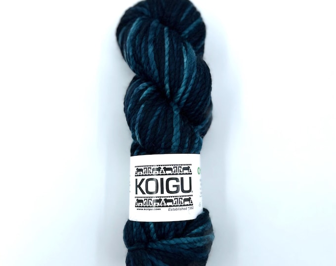 Koigu Othello Yarn,  Bulky,  100% Merino Wool, Color 05520, Winter Palette