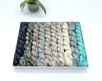 Koigu KPPM pencil box, Winter Storm, fingering weight yarn