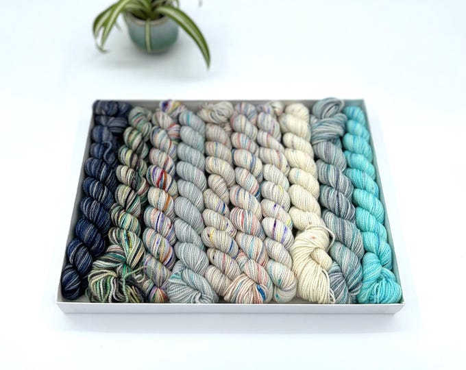 Koigu KPPM pencil box, Winter Storm, fingering weight yarn