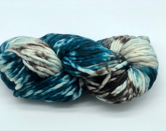 Malabrigo Rasta Yarn, Super Bulky, 100%  Merino Wool, Costa 168, Pintada Collection