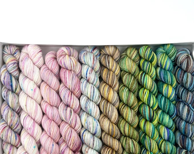 Koigu KPPPM Pencil Box Sweet Pea, Hand Painted Merino Mini Skein Set, Fingering Weight 820 yds