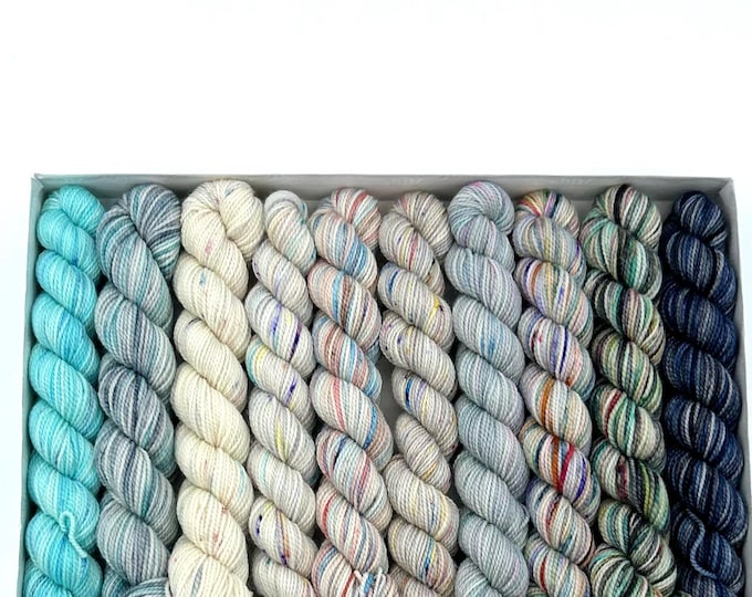 Koigu KPPM pencil box, Winter Storm, fingering weight yarn