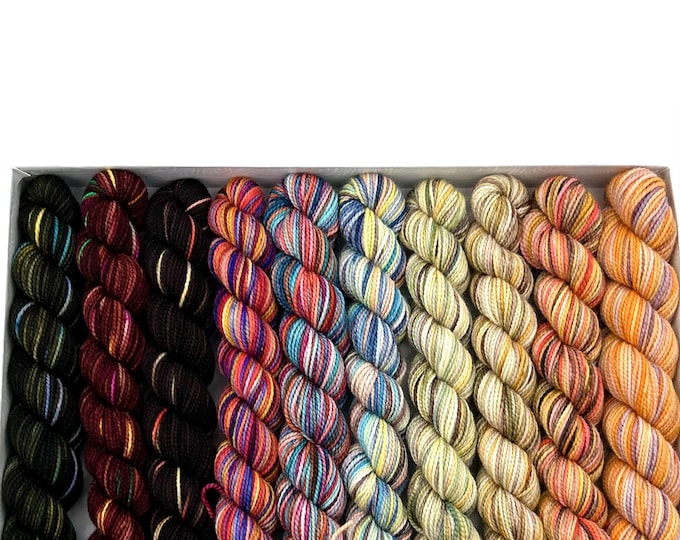 Koigu KPPM pencil box, LYS Day 2022 Autumn, fingering weight yarn, merino wool