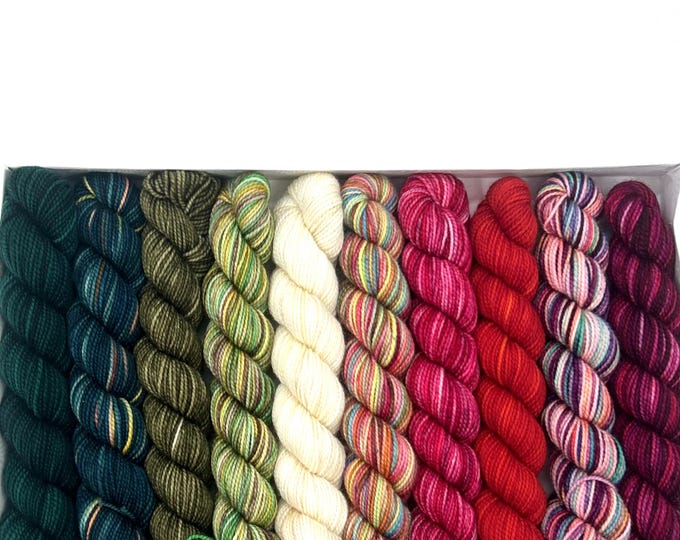 Koigu KPPPM pencil box, Christmas Story, fingering weight yarn