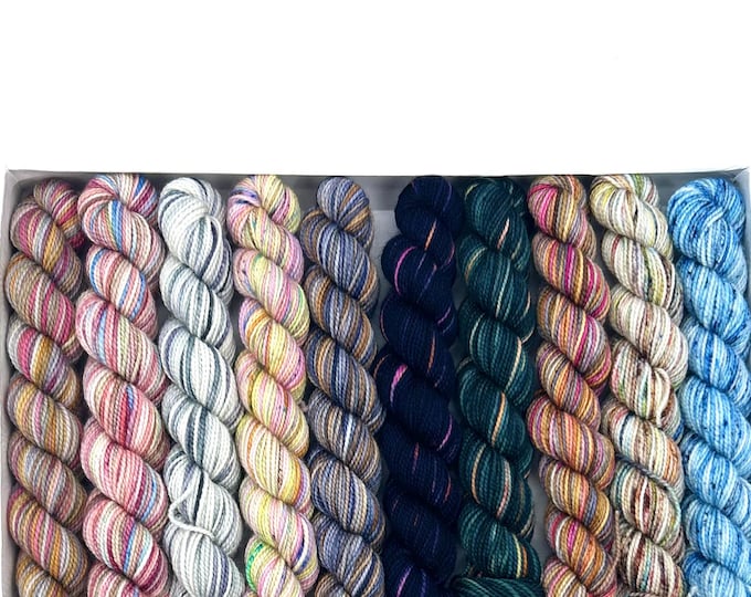 Koigu KPPM pencil box, Winter Forest, fingering weight yarn