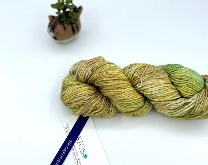 New Color!! Malabrigo Rios Yarn, Gardenia, 268, Worsted, 100% Superwash Merino Wool