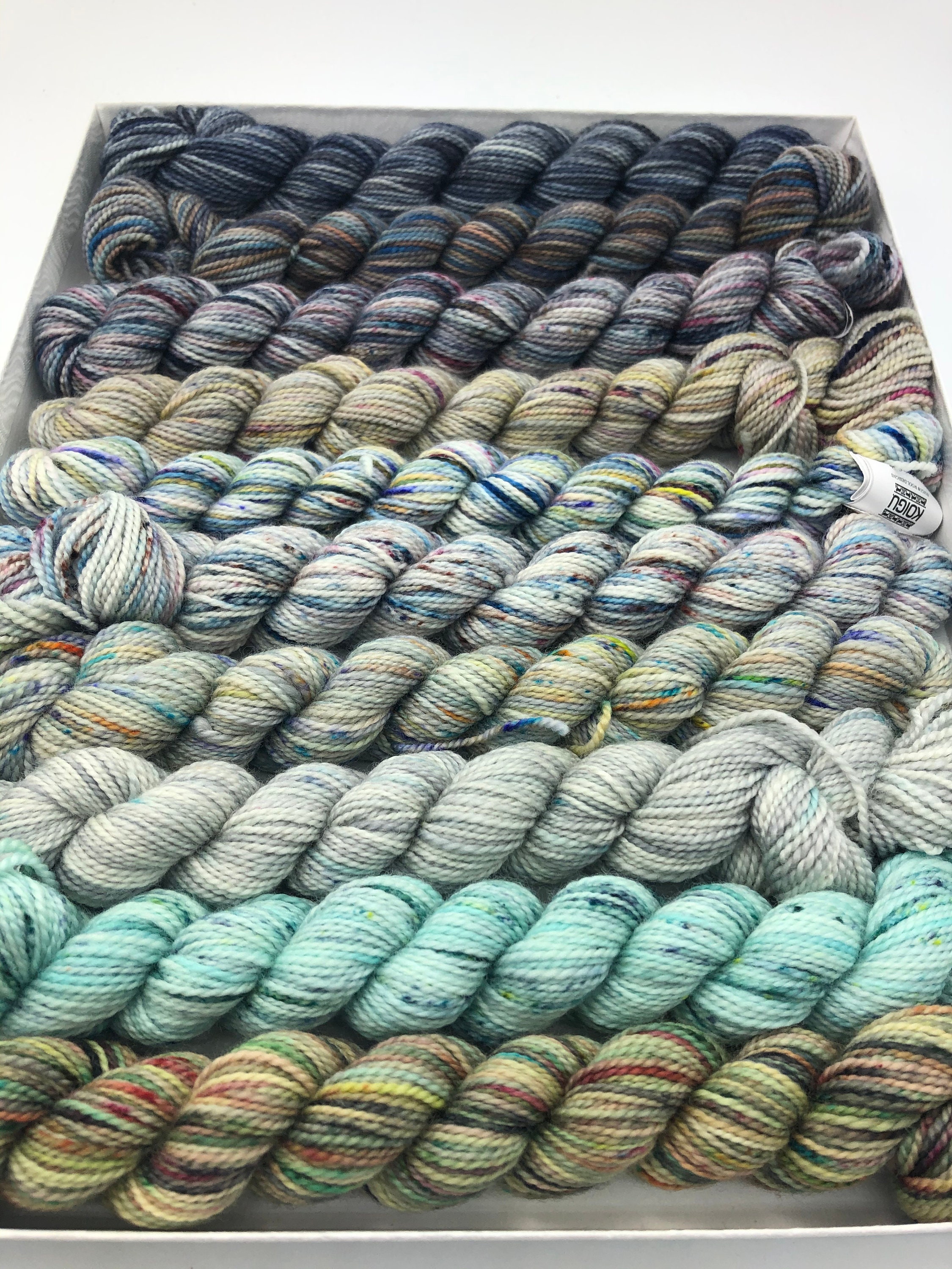 Koigu KPPM pencil box, Winter Storm, fingering weight yarn