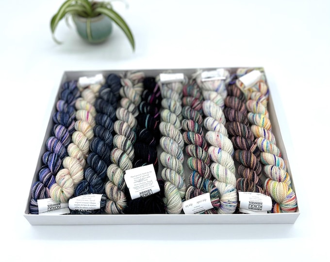 Koigu KPPM pencil box, Lexington, fingering weight yarn