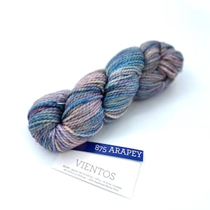 New!! Malabrigo Vientos Yarn, Arapey, 875, Bulky, 100% Superwash Merino Wool.