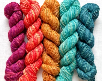 Manos del Uruguay Fino mini skein kit, Esme, merino and silk