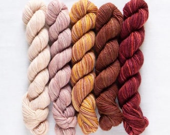 Fino mini skein kit, Eleanor, merino and silk