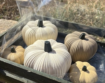 3D Printed Pumpkins