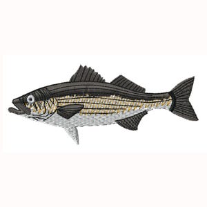 Striper 1 Striped Bass Fish Machine Embroidery Dad Father's Day Fishing Theme Customized Monogrammed Gift Digital Download Caps Hats Shirts