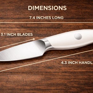 Peut inclure: Un couteau d'office avec un manche cr&egrave;me et des d&eacute;tails argent&eacute;s. La lame mesure 7,9 cm, le manche 10,9 cm et le couteau 18,8 cm de long. Le mot "DIMENSIONS" est en haut de l'image.