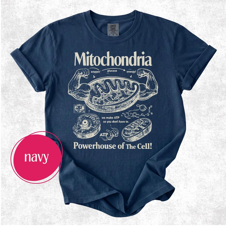 May include: Navy blue t-shirt with a white graphic of a mitochondria diagram, including text that reads "Mitochondria", "Powerhouse of The Cell!", and other scientific terms. The shirt has rolled-up sleeves.