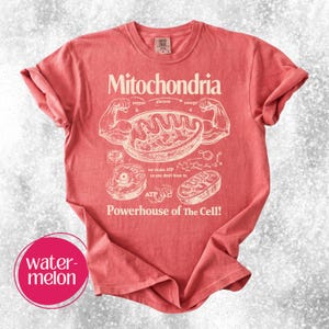 May include: A red t-shirt with the word "Mitochondria" and a diagram of a cell's components. The text "Powerhouse of The Cell!" is printed below the diagram. The shirt also has the word "watermelon" in a pink circle.