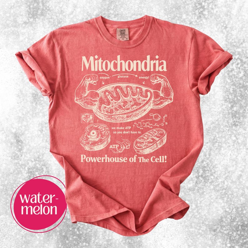 May include: A red t-shirt with the word "Mitochondria" and a diagram of a cell's components. The text "Powerhouse of The Cell!" is printed below the diagram. The shirt also has the word "watermelon" in a pink circle.