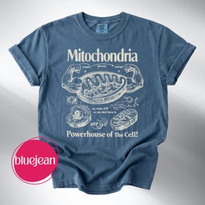 May include: Blue t-shirt with the word "Mitochondria" and a diagram of a cell's powerhouse. The shirt features illustrations of cell components and the text "Powerhouse of The Cell!" and "we make ATP so you don't have to."