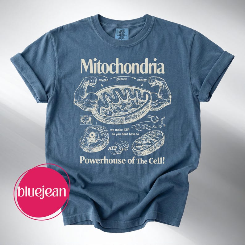 May include: Blue t-shirt with the word "Mitochondria" and a diagram of a cell's powerhouse. The shirt features illustrations of cell components and the text "Powerhouse of The Cell!" and "we make ATP so you don't have to."