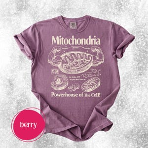 May include: Berry-colored t-shirt with the word "Mitochondria" and a diagram of a cell's components. The shirt features the phrase "Powerhouse of The Cell!" and illustrations of cell parts.