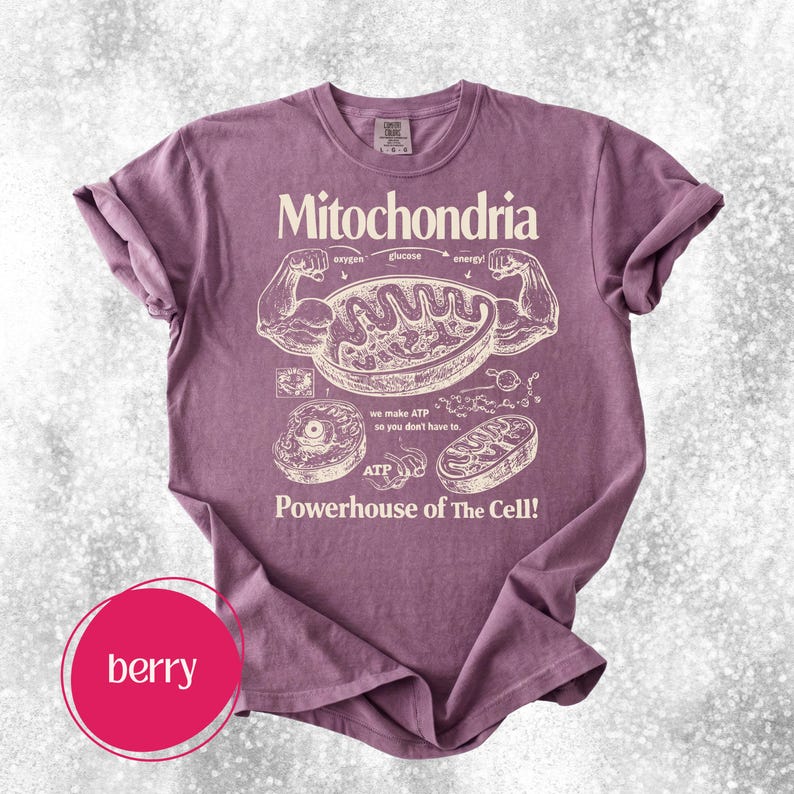 May include: Berry-colored t-shirt with the word "Mitochondria" and a diagram of a cell's components. The shirt features the phrase "Powerhouse of The Cell!" and illustrations of cell parts.