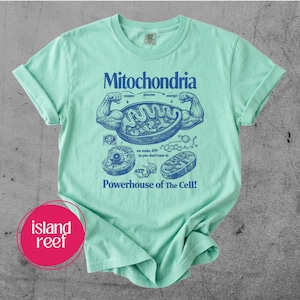 May include: A light green t-shirt with a blue graphic of a mitochondria, labeled "Mitochondria" and "Powerhouse of The Cell!" The graphic includes illustrations of cell components and text.