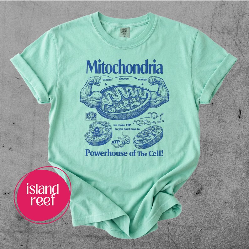 May include: A light green t-shirt with a blue graphic of a mitochondria, labeled "Mitochondria" and "Powerhouse of The Cell!" The graphic includes illustrations of cell components and text.