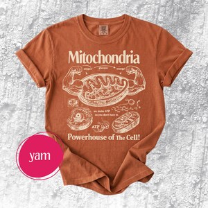 May include: A rust-colored t-shirt with the word "Mitochondria" and a diagram of a cell's powerhouse. The graphic includes text about oxygen, glucose, and energy, with the phrase "Powerhouse of The Cell!"