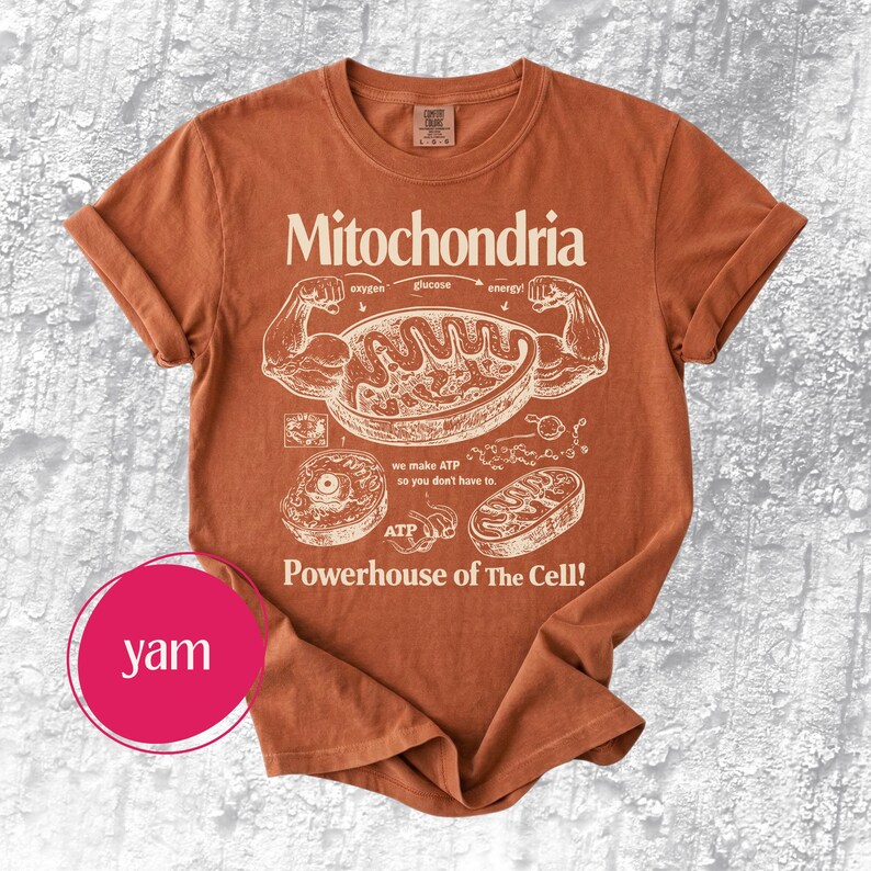 May include: A rust-colored t-shirt with the word "Mitochondria" and a diagram of a cell's powerhouse. The graphic includes text about oxygen, glucose, and energy, with the phrase "Powerhouse of The Cell!"