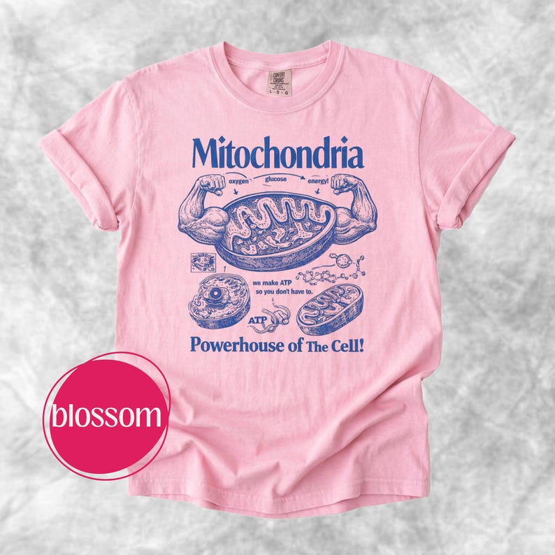 May include: A light pink t-shirt with the word "Mitochondria" in blue, along with a diagram of a cell and the text "Powerhouse of The Cell!" The shirt also features the text "we make ATP so you don't have to."