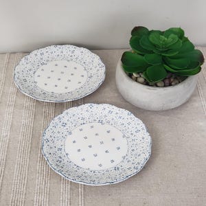 May include: Two round ceramic plates with scalloped edges, featuring a white centre with a blue floral pattern and a blue floral border. Beside the plates sits a small, round, light grey concrete planter containing a vibrant green succulent plant.