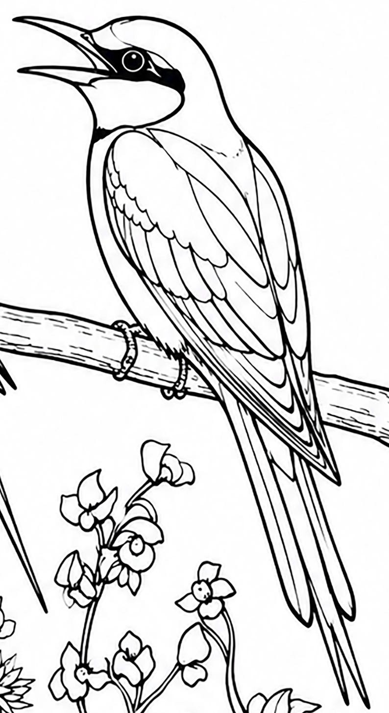 Bird Coloring Pages — Reference 7 Bird Coloring Pages — Reference 7