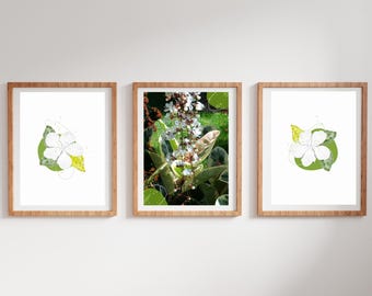 Conjunto de láminas botánicas para pared, láminas florales verdes para galería, decoración minimalista inspirada en la naturaleza (descarga digital)