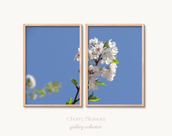 Conjunto de láminas decorativas de flores de cerezo, fotografía floral de cielo azul, decoración minimalista de primavera (descarga digital)