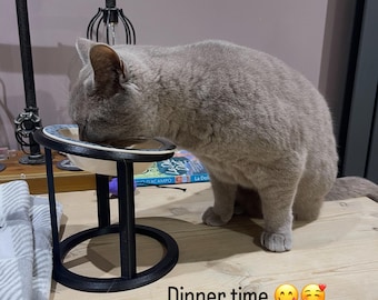 Elevated Cat Bowl: 10-Degree Slope, Stainless Steel bowls (www.catriserbowls.com)
