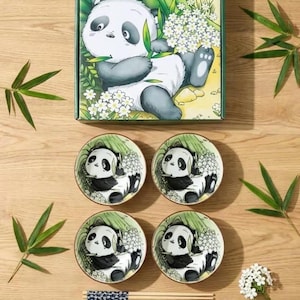 Japanese Ceramic Bowl Set with Chopsticks | Hand Painted Tableware Gift Box | Panda Dinnerware Set