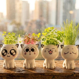 Peut inclure: Quatre pots de fleurs blancs en forme de chat avec différentes expressions faciales, chacun contenant de petites plantes vertes. Les pots sont placés sur une surface en bois, créant une présentation décorative.