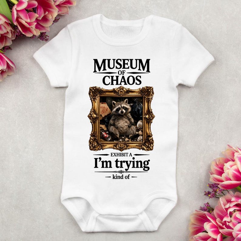 Museum of Chaos Raccoon PNG, Dark Humor Meme Shirt Design (digital ...