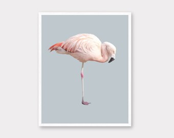 Flamingo Art Print | Tropical Bird Wall Art | Printable Minimalist Bird Illustration | Blue and Pink Wall Decor | Contemporary Wildlife Art