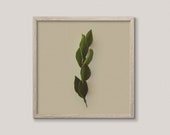 Earthy Green and Tan Wall Art - NATURE WATCH NO. 2 | Rustic Art Print | Modern Country Home Decor | Plant Art Print | Minimalist Botanical