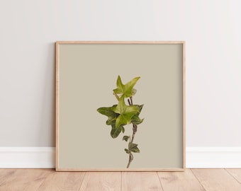 Printable Wall Art | Nature Photography | Minimalist Photography | Cottagecore Art Print | Tan, Taupe | Country Decor | Boho Wall Decor