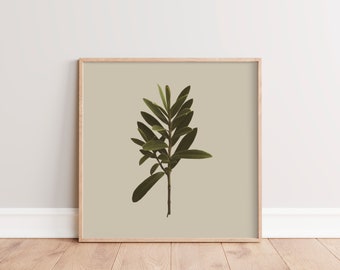 Minimalist Plant Photography Print | Botanical Wall Art Print | Modern Rustic Wall Decor | Square Botanical Printable Art| Ta, Green Leaf