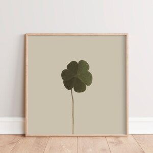 Druckbare Pflanzen Kunst | Moderne botanische Fotografie | Kleeblatt Kunstdruck | Taupe, Grün | Rustikale Wohnkultur | Natur Fotografie Quadrat