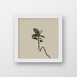 Square Wall Art Print Modern Country Wall Decor Boho Nature Wall Art Minimalist Plant Photography Printable Plant Art Tan, Taupe image 4