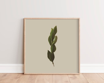 Plant Photography Art Print| Square Tan, Green Wall Decor | Modern Country Wall Art | Minimalist Plant Wall Art | Printable Nature Photo