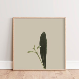 Minimal Botanical Art Printable Plant Art Rustic Country Wall Decor Plant Photography Instant Download Square Boho Wall Art image 1