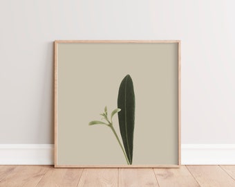 Minimal Botanical Art | Printable Plant Art | Rustic Country Wall Decor | Plant Photography | Instant Download | Square Boho Wall Art