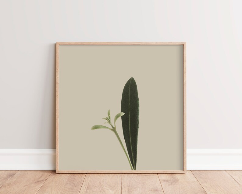 Minimal Botanical Art Printable Plant Art Rustic Country Wall Decor Plant Photography Instant Download Square Boho Wall Art image 1